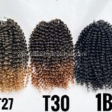 Short Passion Twist